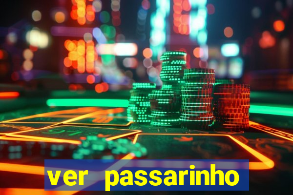 ver passarinho morto significado