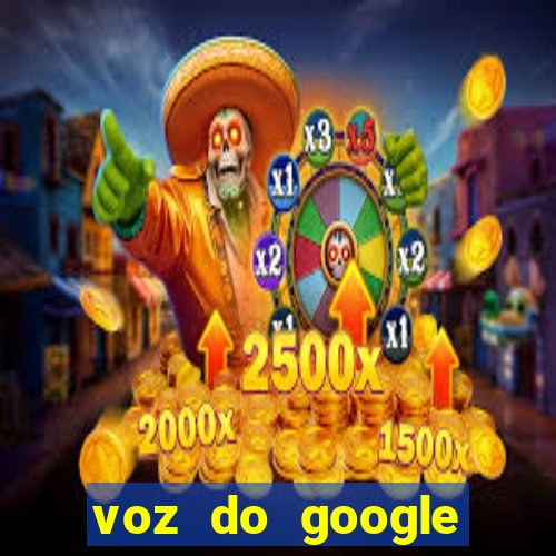 voz do google tradutor homem