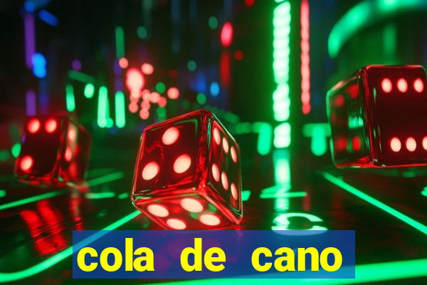 cola de cano quanto tempo para secar