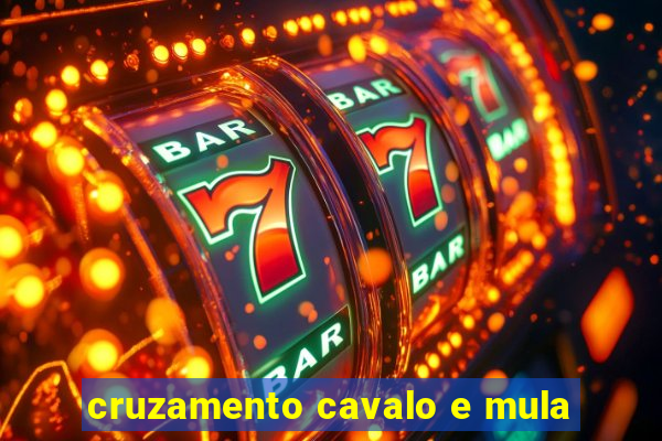 cruzamento cavalo e mula
