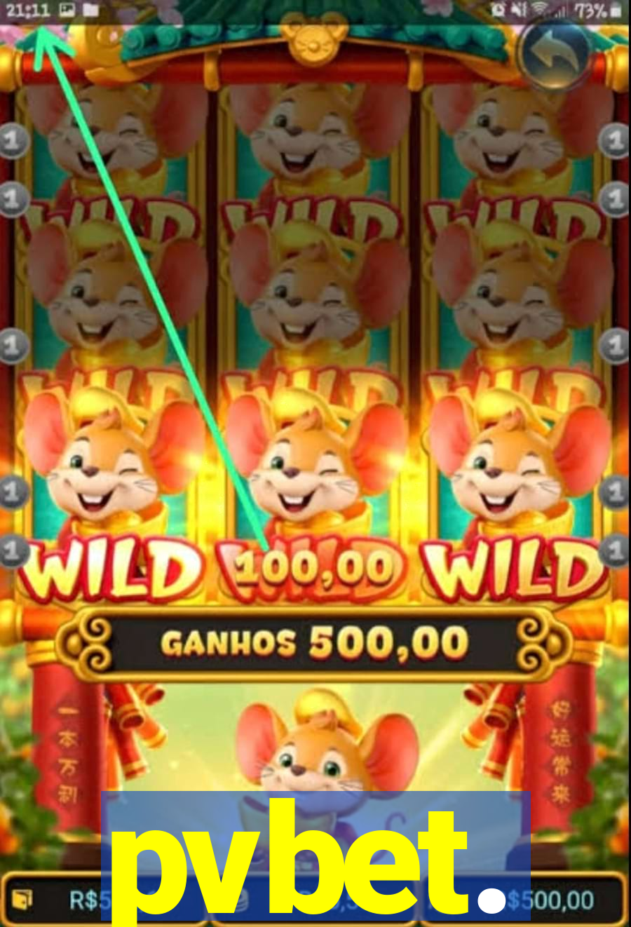 pvbet.