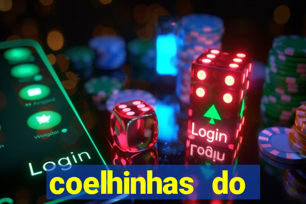 coelhinhas do brasil acompanhantes