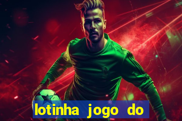 lotinha jogo do bicho como funciona
