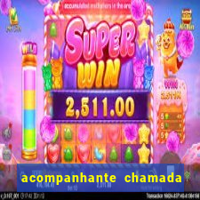 acompanhante chamada de video