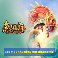 acompanhantes em guanambi