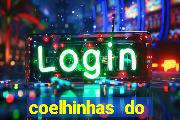 coelhinhas do brasil recife