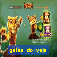 gatas do vale juazeiro bahia