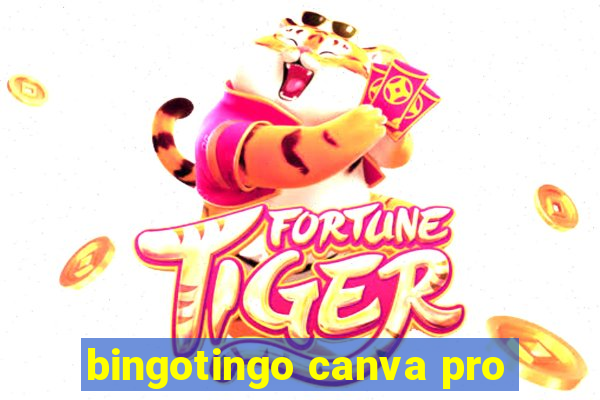 bingotingo canva pro