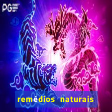 remédios naturais para diabetes
