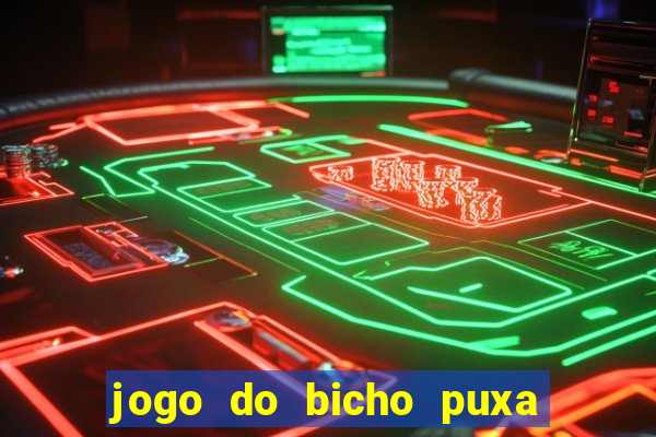jogo do bicho puxa de dona maria