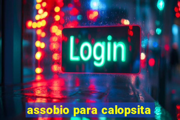 assobio para calopsita