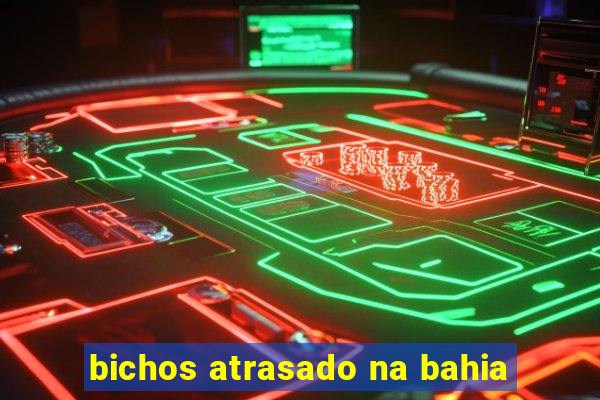 bichos atrasado na bahia