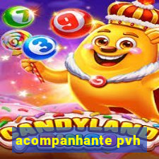 acompanhante pvh