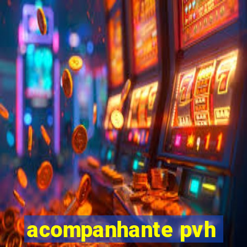 acompanhante pvh