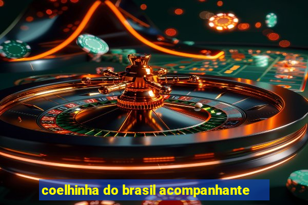 coelhinha do brasil acompanhante