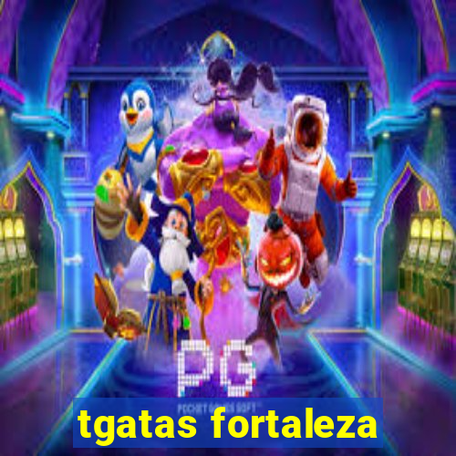 tgatas fortaleza