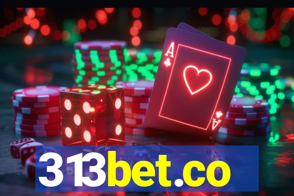313bet.co