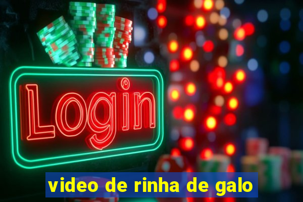 video de rinha de galo