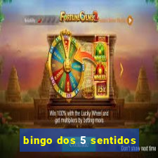 bingo dos 5 sentidos