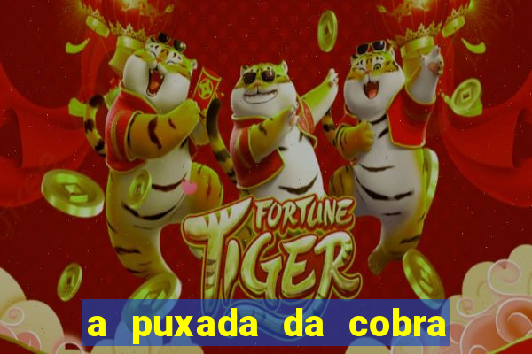 a puxada da cobra no jogo do bicho