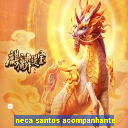 neca santos acompanhante