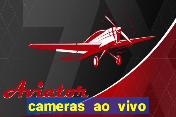 cameras ao vivo beto carrero
