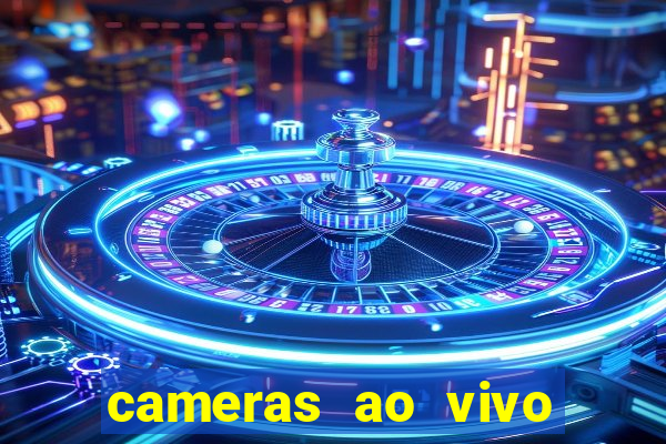 cameras ao vivo beto carrero