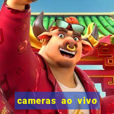 cameras ao vivo beto carrero
