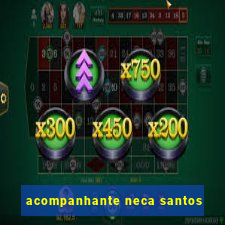 acompanhante neca santos