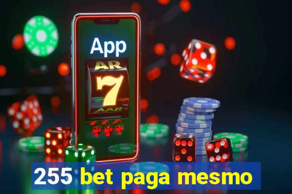 255 bet paga mesmo