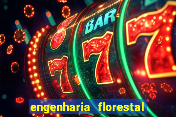 engenharia florestal ead cruzeiro do sul