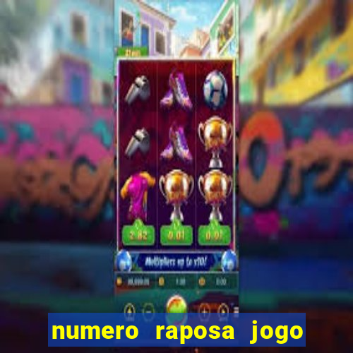 numero raposa jogo do bicho
