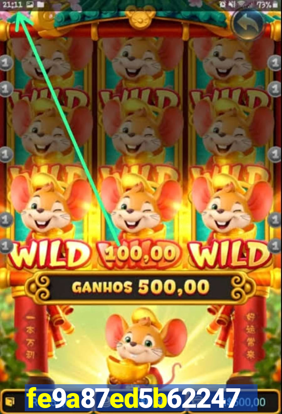 6020bet