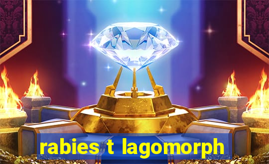 rabies t lagomorph