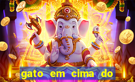 gato em cima do telhado significado espiritual