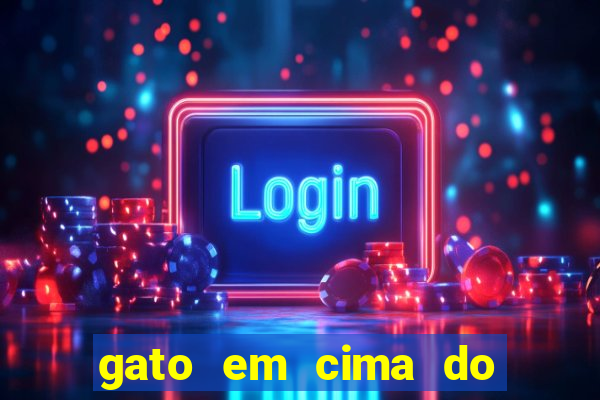gato em cima do telhado significado espiritual