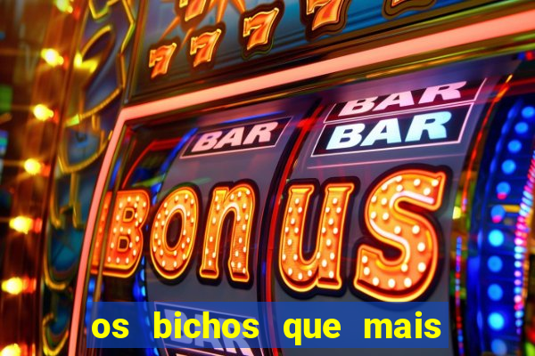 os bichos que mais saem na loteria federal
