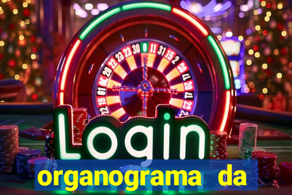 organograma da cacau show