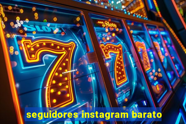 seguidores instagram barato