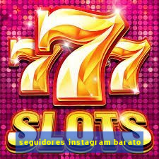 seguidores instagram barato