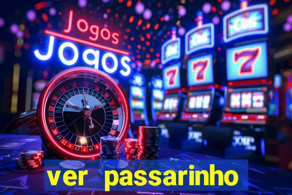 ver passarinho morto significado