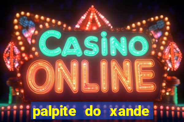 palpite do xande de hoje