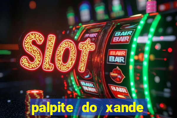 palpite do xande de hoje