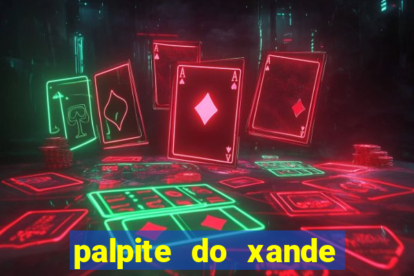 palpite do xande de hoje