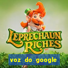 voz do google tradutor homem