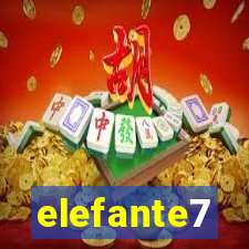 elefante7