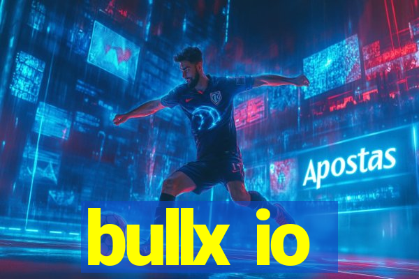 bullx io