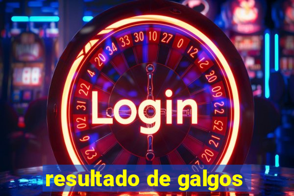 resultado de galgos