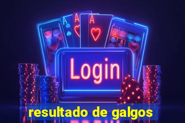 resultado de galgos
