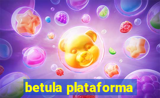 betula plataforma